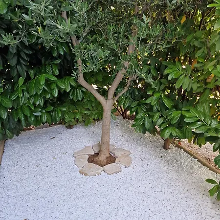 Apartmani Komin Pakoštane Exterior foto